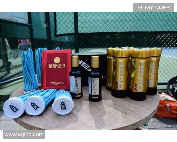 南京网球队与成都网球队赛后状态分析与复盘总结