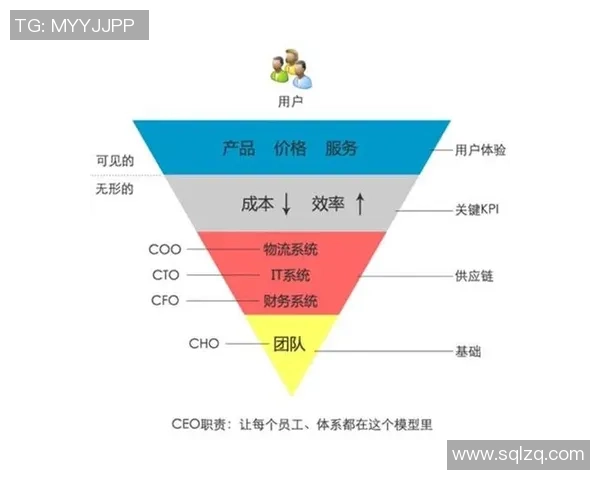 英雄联盟深度分析：探究LNG战队的成功运营策略与管理模式